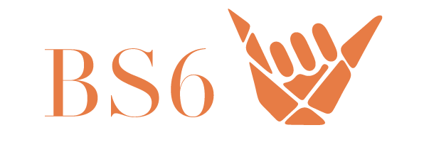 BS-6 Logo